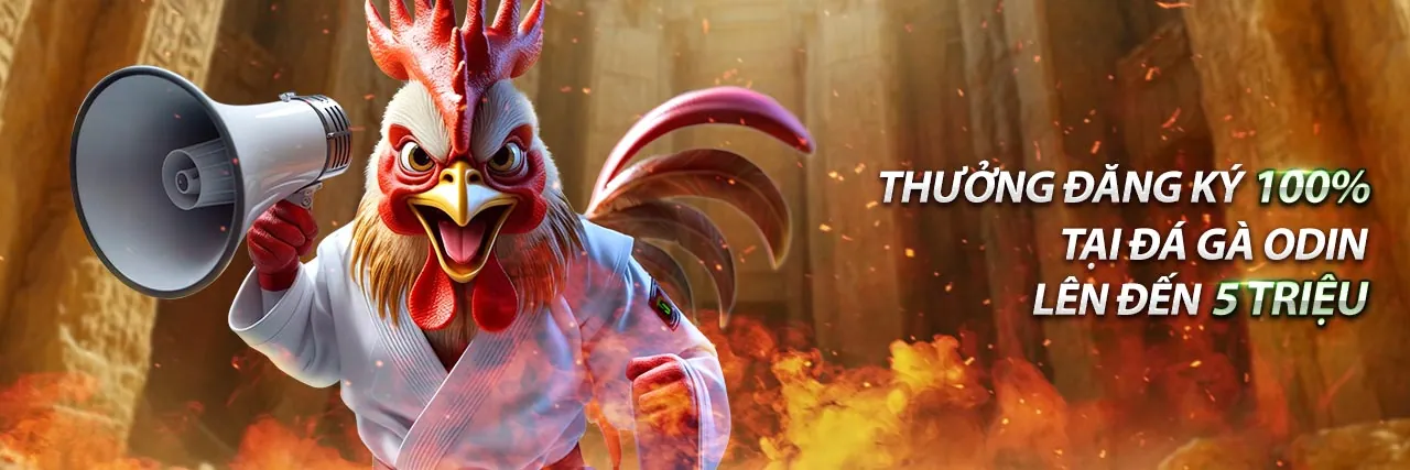 Hỗ trợ khách hàng dabet về giao dịch thanh toán